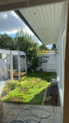 mathilda_bergs Altpins Profile Picture