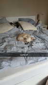 mathilda_bergs Altpins Profile Picture