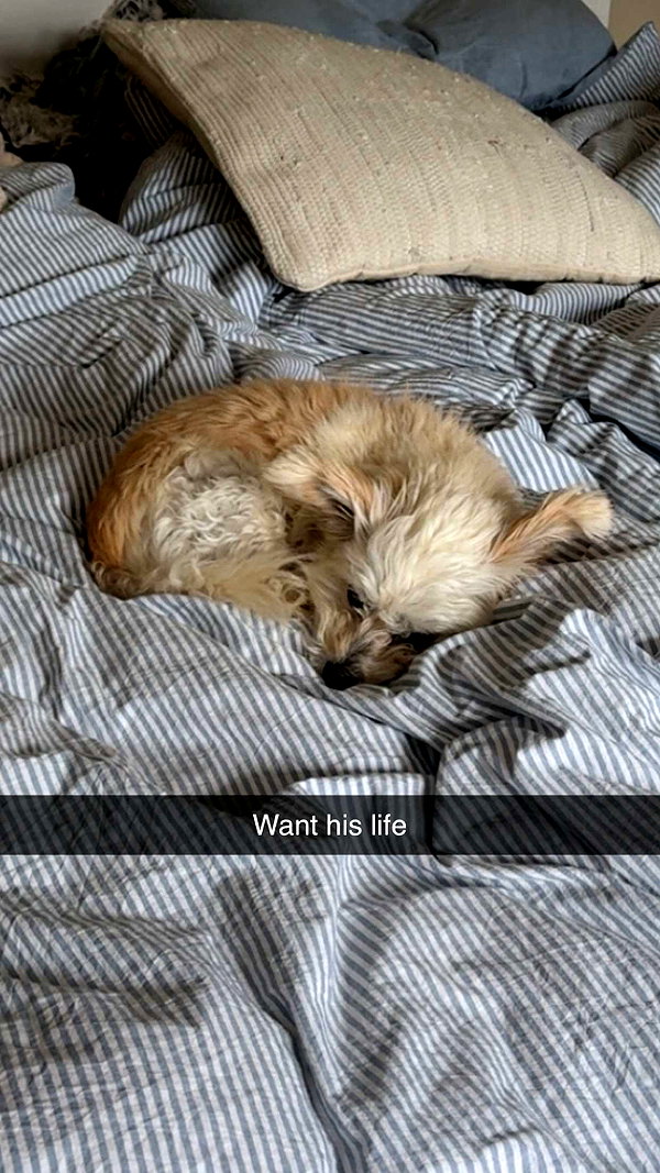 mathilda_bergs snapchat image archive image