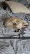mathilda_bergs Altpins Profile Picture