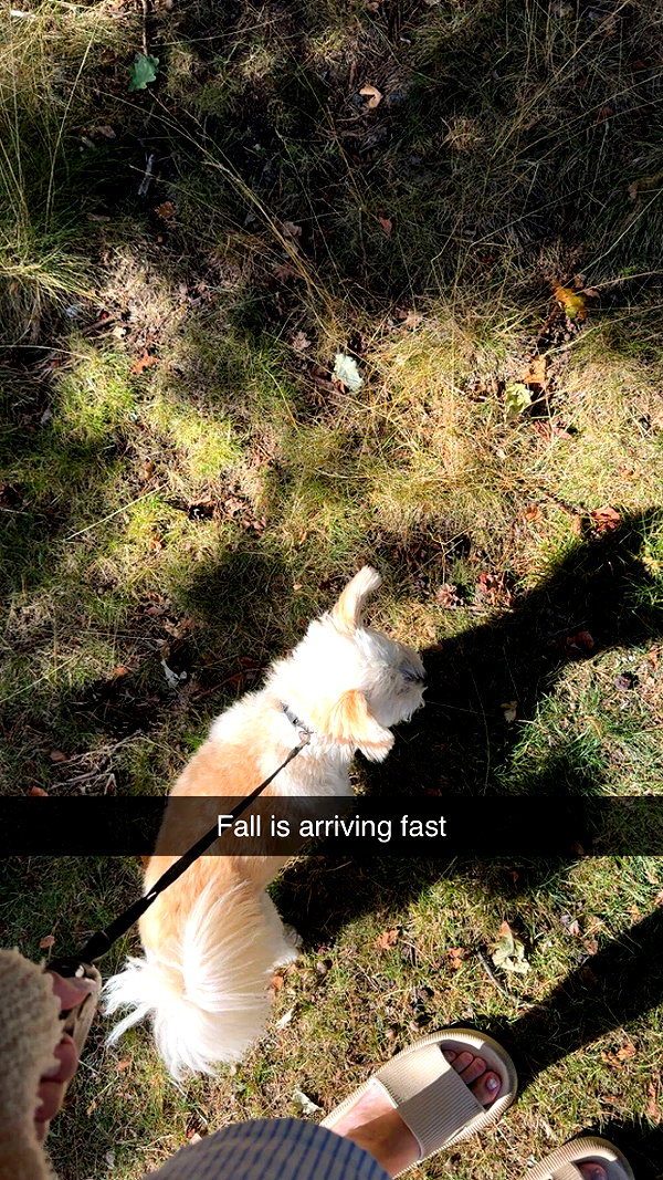 mathilda_bergs snapchat image archive image