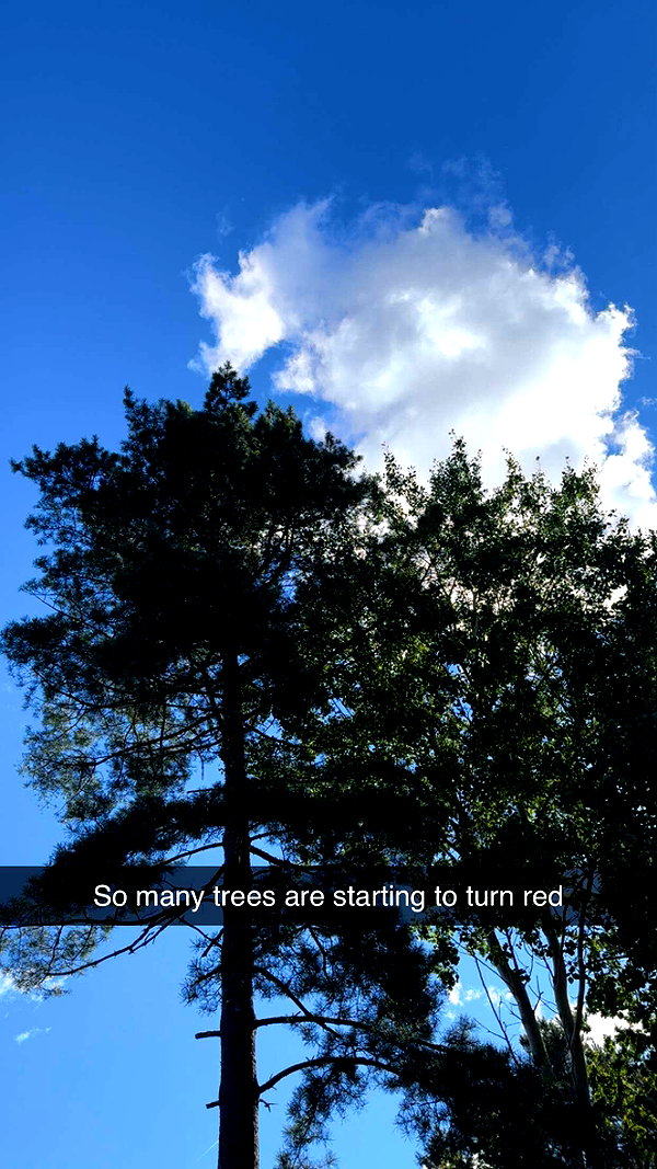 mathilda_bergs snapchat image archive image