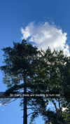mathilda_bergs Altpins Profile Picture