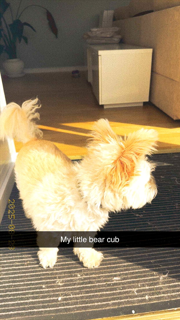 mathilda_bergs snapchat image archive image