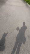 mathilda_bergs Altpins Profile Picture