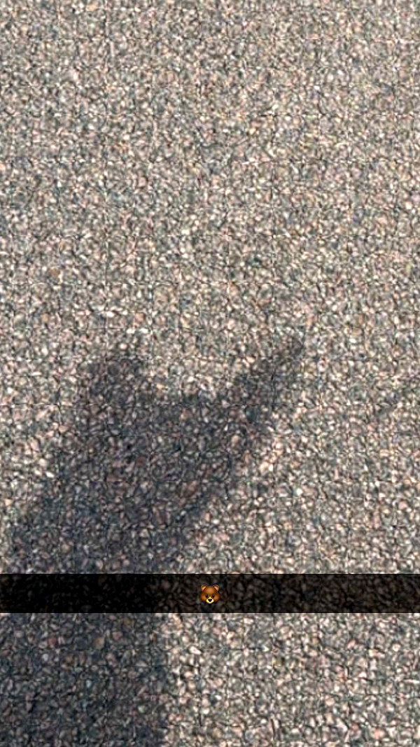 mathilda_bergs snapchat image archive image