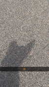 mathilda_bergs Altpins Profile Picture