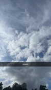 mathilda_bergs Altpins Profile Picture