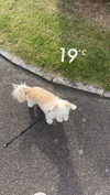 mathilda_bergs Altpins Profile Picture