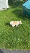 mathilda_bergs Altpins Profile Picture