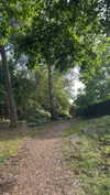 mathilda_bergs Altpins Profile Picture