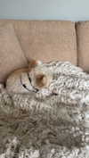 mathilda_bergs Altpins Profile Picture