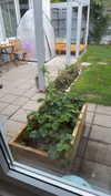 mathilda_bergs Altpins Profile Picture