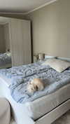 mathilda_bergs Altpins Profile Picture