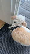 mathilda_bergs Altpins Profile Picture