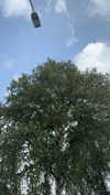 mathilda_bergs Altpins Profile Picture