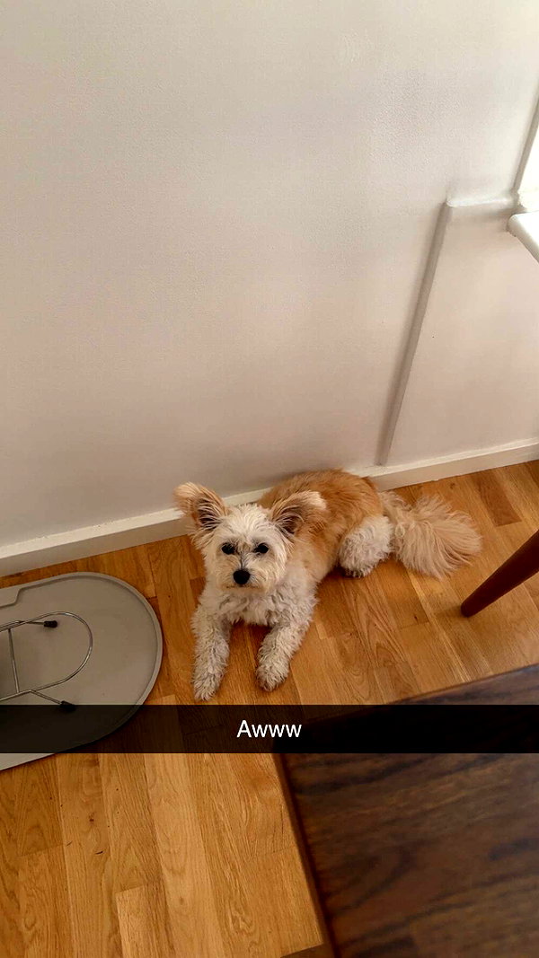 mathilda_bergs snapchat image archive image