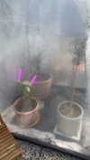 mathilda_bergs Altpins Profile Picture