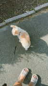 mathilda_bergs Altpins Profile Picture