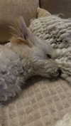 mathilda_bergs Altpins Profile Picture