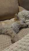 mathilda_bergs Altpins Profile Picture