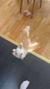 mathilda_bergs Altpins Profile Picture