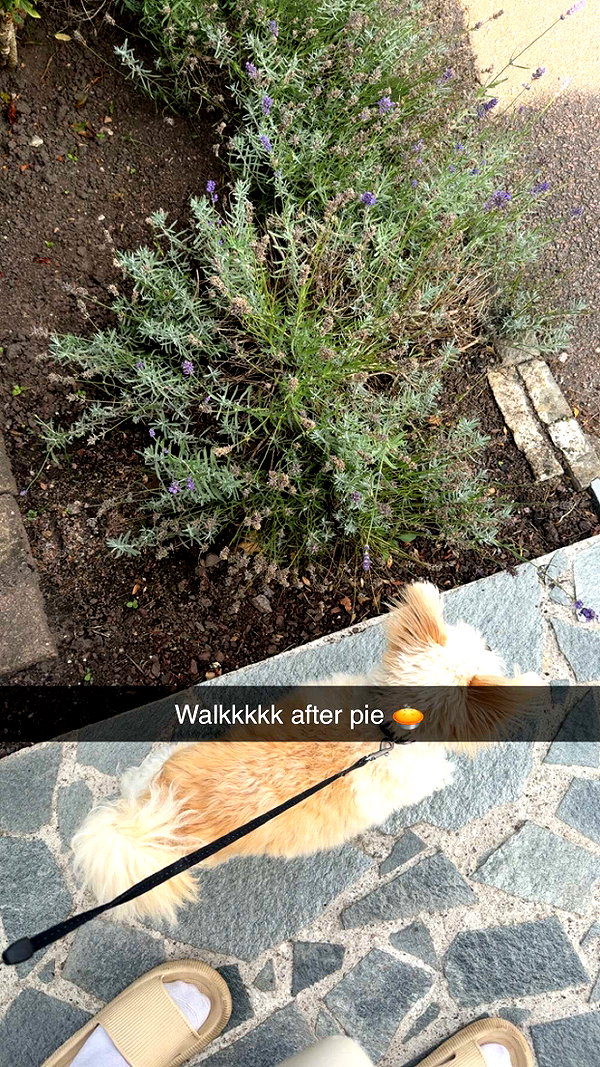 mathilda_bergs snapchat image archive image