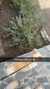 mathilda_bergs Altpins Profile Picture