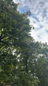 mathilda_bergs Altpins Profile Picture