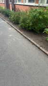 mathilda_bergs Altpins Profile Picture