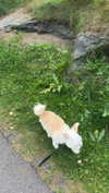 mathilda_bergs Altpins Profile Picture