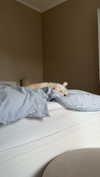 mathilda_bergs Altpins Profile Picture