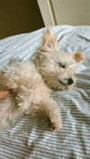 mathilda_bergs Altpins Profile Picture