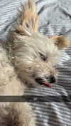mathilda_bergs Altpins Profile Picture