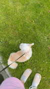 mathilda_bergs Altpins Profile Picture