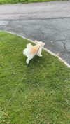 mathilda_bergs Altpins Profile Picture