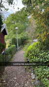 mathilda_bergs Altpins Profile Picture