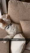mathilda_bergs Altpins Profile Picture