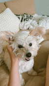 mathilda_bergs Altpins Profile Picture