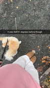 mathilda_bergs Altpins Profile Picture