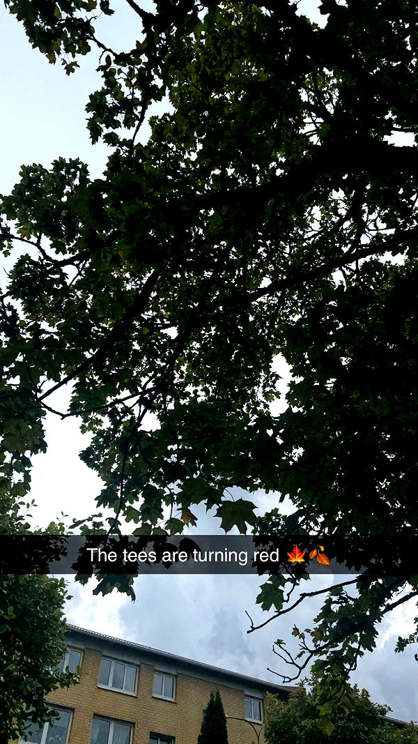 mathilda_bergs snapchat image archive image