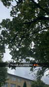 mathilda_bergs Altpins Profile Picture