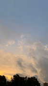 mathilda_bergs Altpins Profile Picture