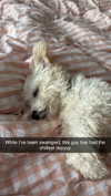 mathilda_bergs Altpins Profile Picture