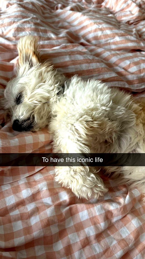 mathilda_bergs snapchat image archive image