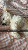 mathilda_bergs Altpins Profile Picture