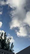 mathilda_bergs Altpins Profile Picture