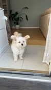 mathilda_bergs Altpins Profile Picture