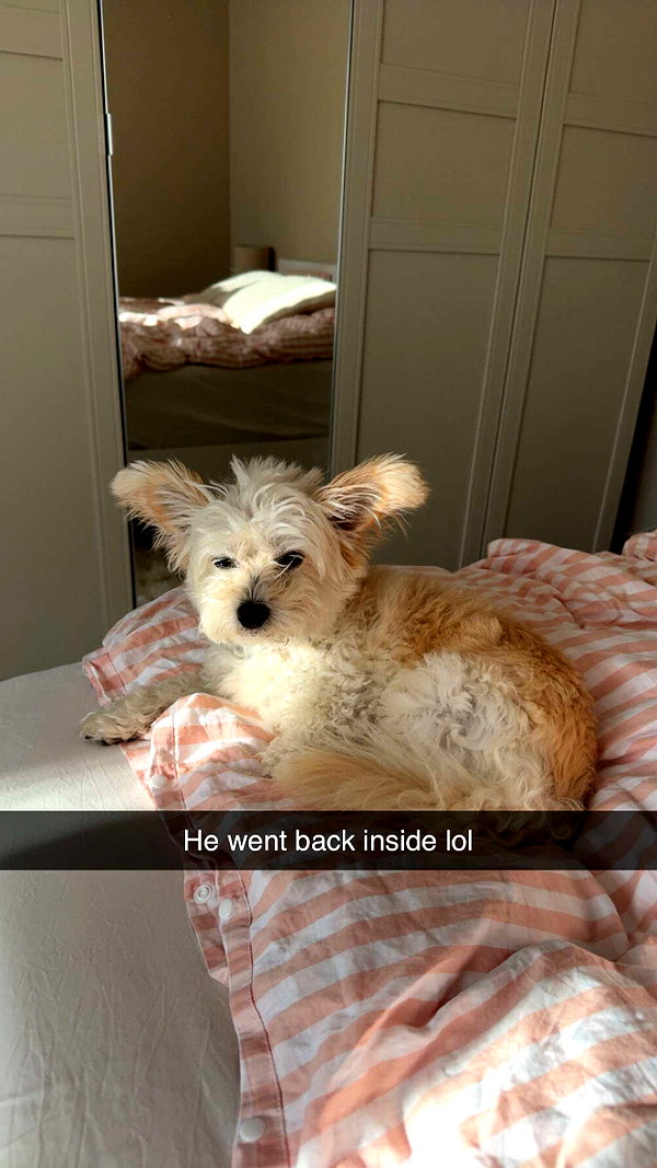 mathilda_bergs snapchat image archive image