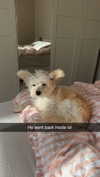 mathilda_bergs Altpins Profile Picture